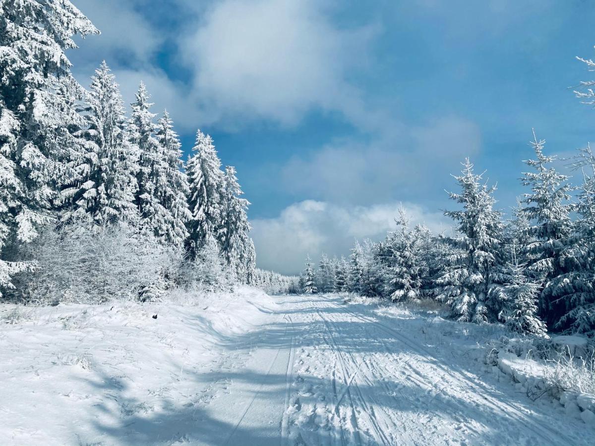 Chalet Huettenzauber تسيلا-ميليس المظهر الخارجي الصورة